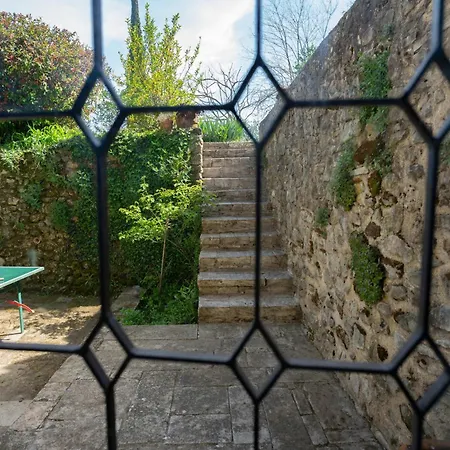 Riboleys - Mas Provencal Avec Piscine Privee *