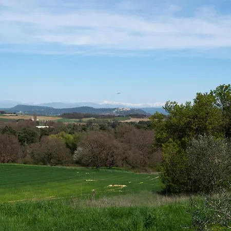 Gospodarstwo wiejskie Riboleys - Mas Provencal Avec Piscine Privee Forcalquier