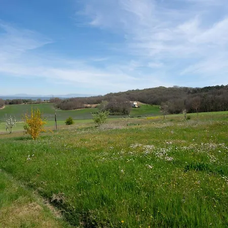 Gospodarstwo wiejskie Riboleys - Mas Provencal Avec Piscine Privee *