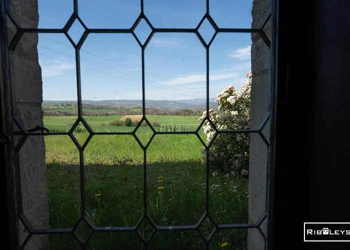 Riboleys - Mas Provencal Avec Piscine Privee