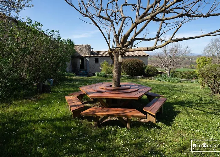 Riboleys - Mas Provencal Avec Piscine Privee *