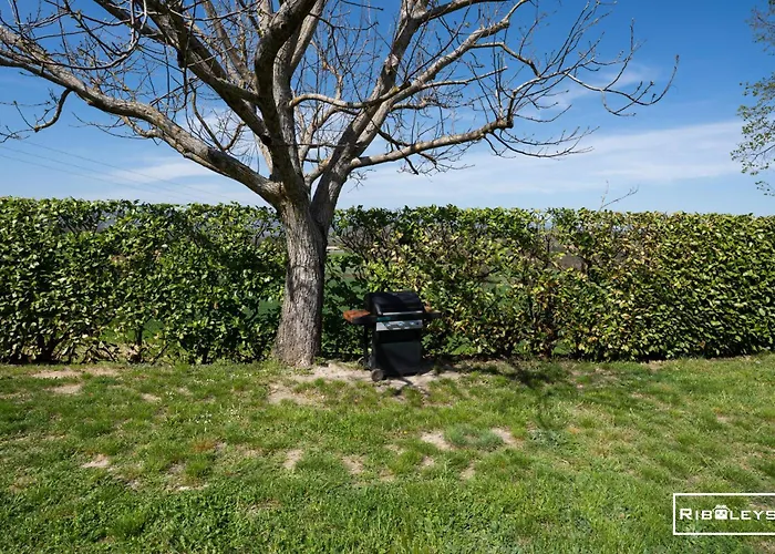 Riboleys - Mas Provencal Avec Piscine Privee Country house *