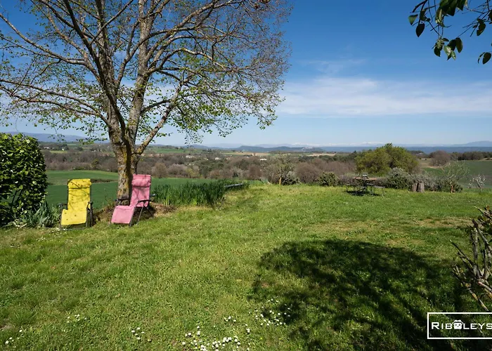 Riboleys - Mas Provencal Avec Piscine Privee * Forcalquier