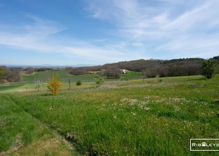 Country house Riboleys - Mas Provencal Avec Piscine Privee *
